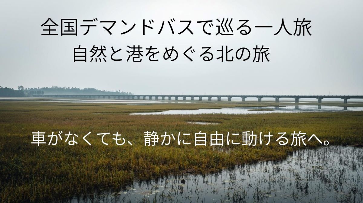 🦢【北海道・釧路】デマンドバスで一人旅｜湿原と港町をめぐる静かな観光ルート